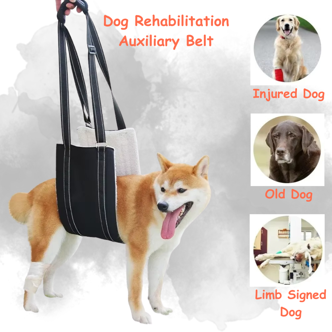 Dog Aid Belt