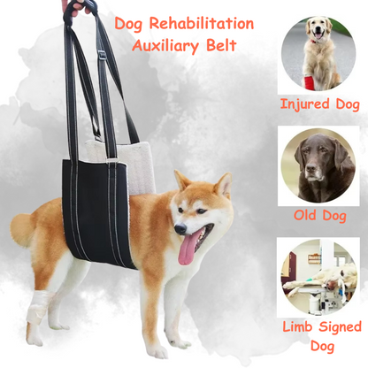 Dog Aid Belt